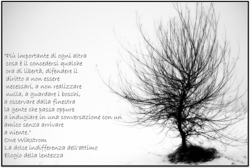 2172951906_4296112858_b