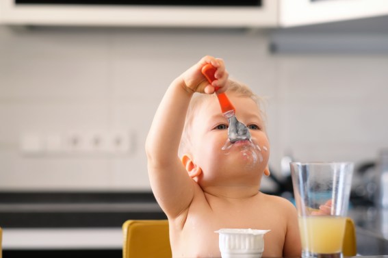Adorable one year old baby boy eating yoghurt with spoon