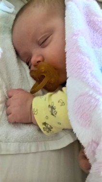 WP_20160429_08_24_24_Rich