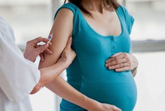 vaccini-in-gravidanza-650x438